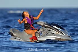 Бесплатное проживание на курорте Анапа с хорошей зарплатой. - kWBPiCjYzbc.jpg