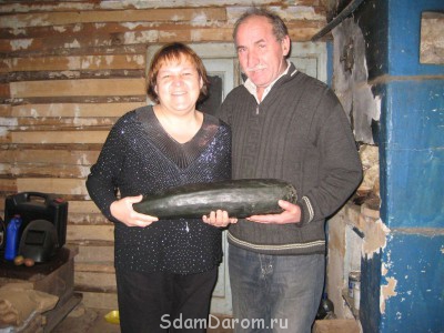 Ищем кваартиру  - Гор.JPG