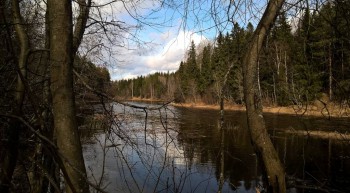 Сдам дом в деревне за присмотр. - 004.1.jpg