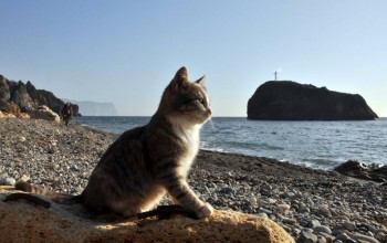 Предлагаю девушке комнату в Севастополе - 0Kcxe3vptvA.jpg