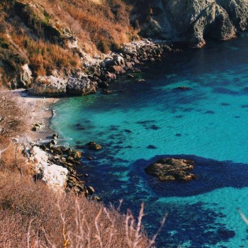 Предлагаю девушке комнату в Севастополе - 16583631_711676429000859_5933154722767699968_n.jpg