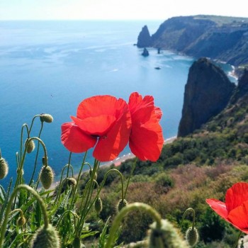 Предлагаю девушке комнату в Севастополе - 18646544_247058662441904_5826097504659177472_n.jpg