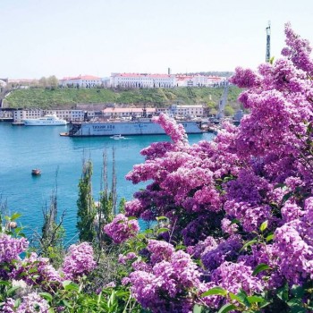 Предлагаю девушке комнату в Севастополе - 18251432_443200846025857_1454193415808876544_n.jpg