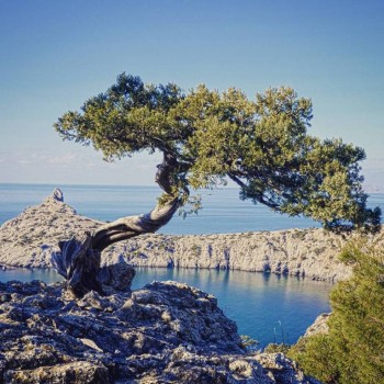 Предлагаю девушке комнату в Севастополе - 23499000_164367990823408_3544244937220423680_n.jpg