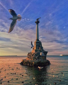 Предлагаю девушке комнату в Севастополе - 24253999_1451562111578206_4308078637153779712_n.jpg