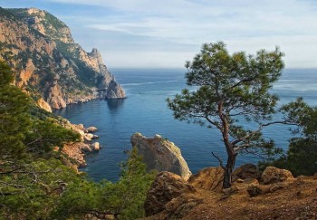 Предлагаю девушке комнату в Севастополе - 24327492_322559694893733_9029539540016037888_n.jpg