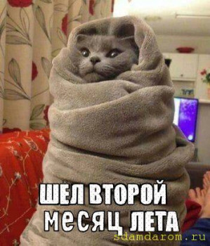 Двое мужчин, 44 и 49 лет, ищем двух девушек, женщин - DNTN0030 — копия.jpg