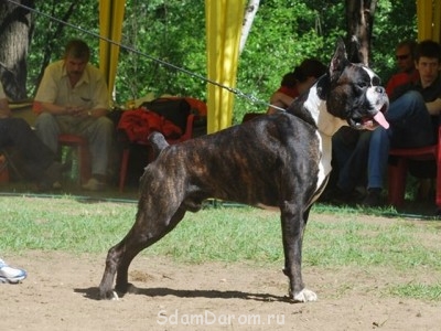 Мама с дочерью - may2009b[1].jpg